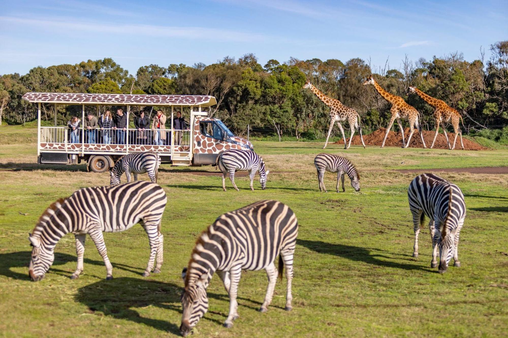 Holiday Inn Werribee By Ihg Dış mekan fotoğraf